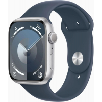 Умные часы Apple Watch Series 9 GPS 45mm Silver/Storm Blue Band MR9E3ZP/A