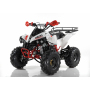 Квадроцикл бензиновый Motax ATV Raptor Super Lux 125